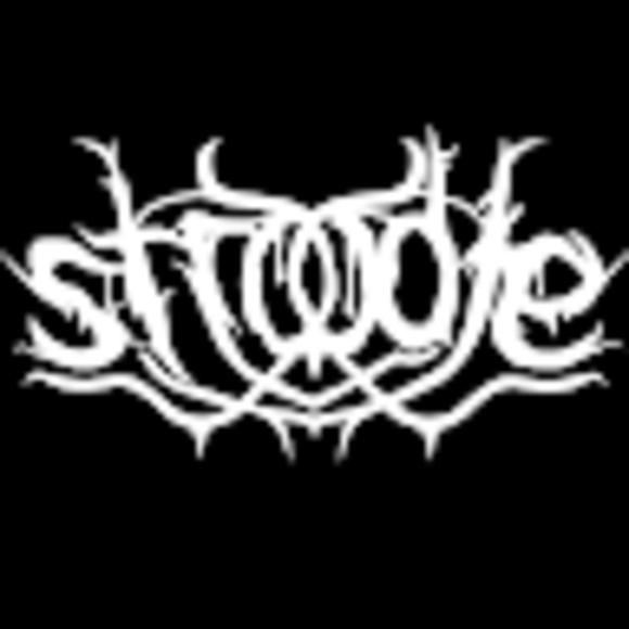 tstroodle